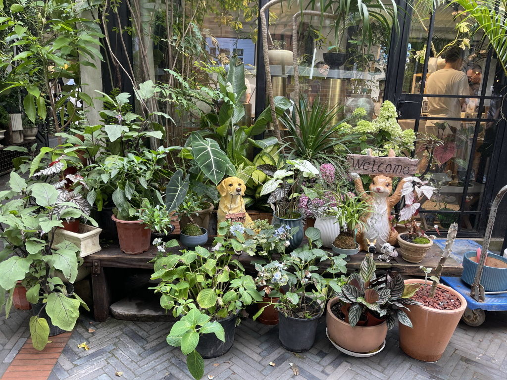 图片[40]-首次南下旅行Day2：上海暴走-真不错鸭