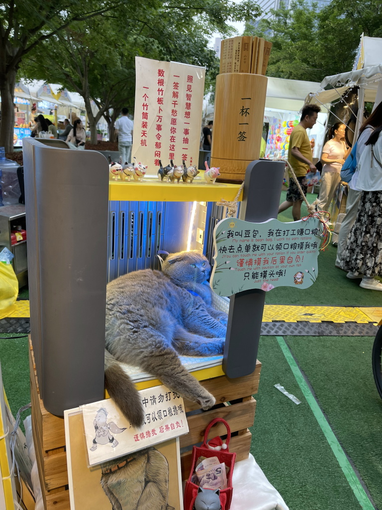 图片[59]-首次南下旅行Day2：上海暴走-真不错鸭