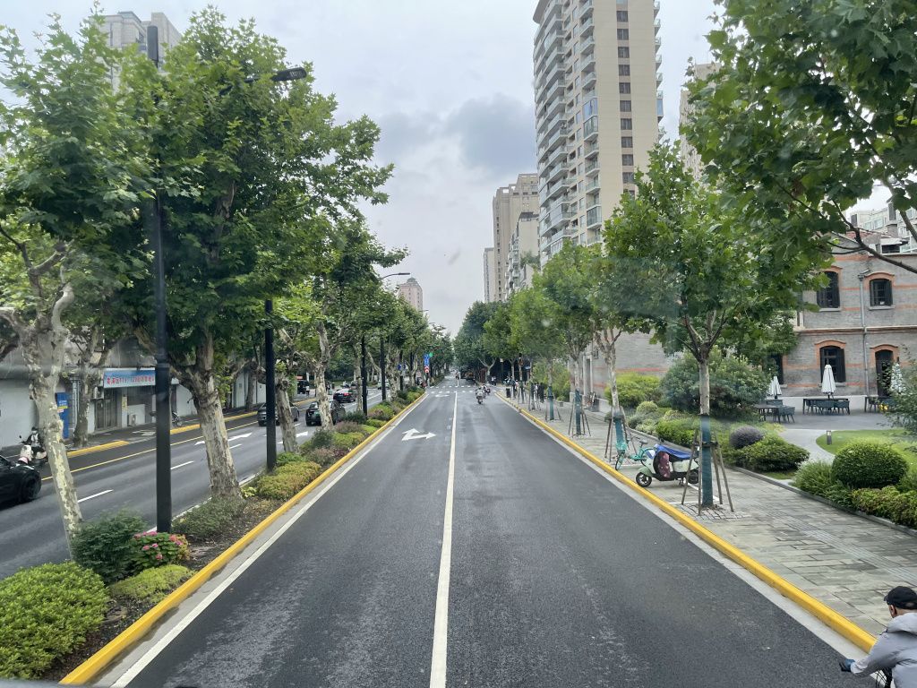 图片[8]-首次南下旅行Day3：上海终章-真不错鸭