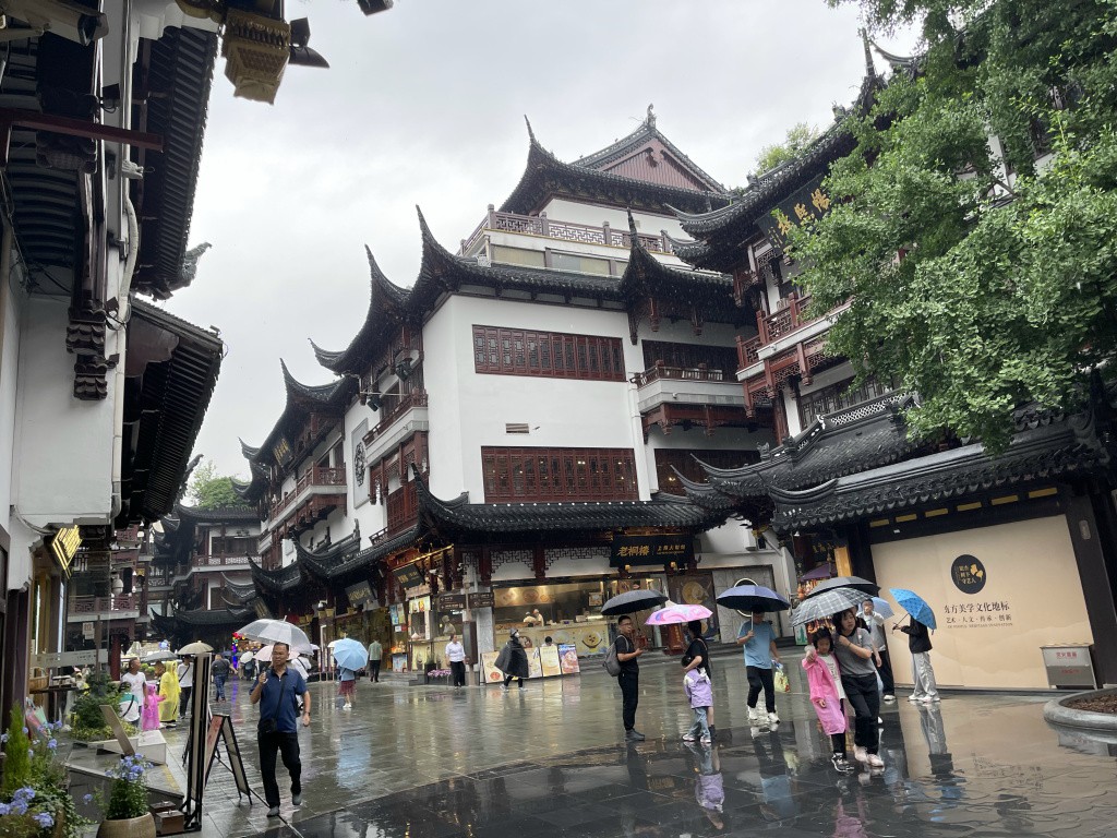 图片[19]-首次南下旅行Day3：上海终章-真不错鸭