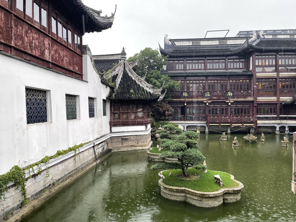 图片[23]-首次南下旅行Day3：上海终章-真不错鸭