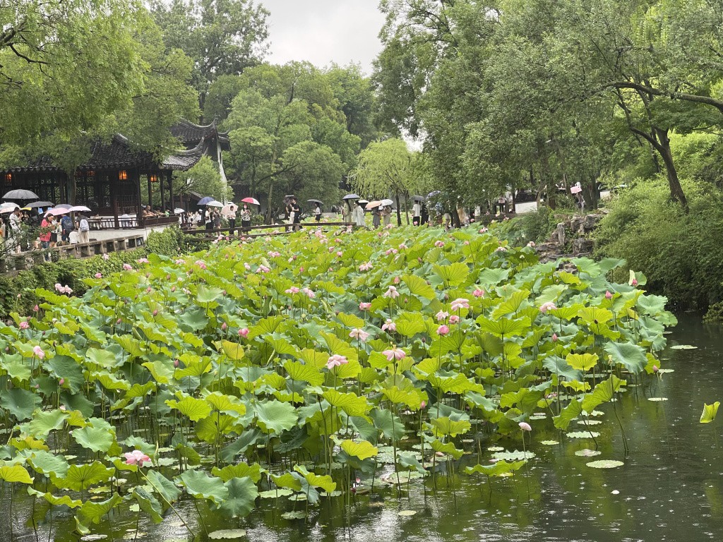 图片[35]-首次南下旅行Day4：苏州-真不错鸭