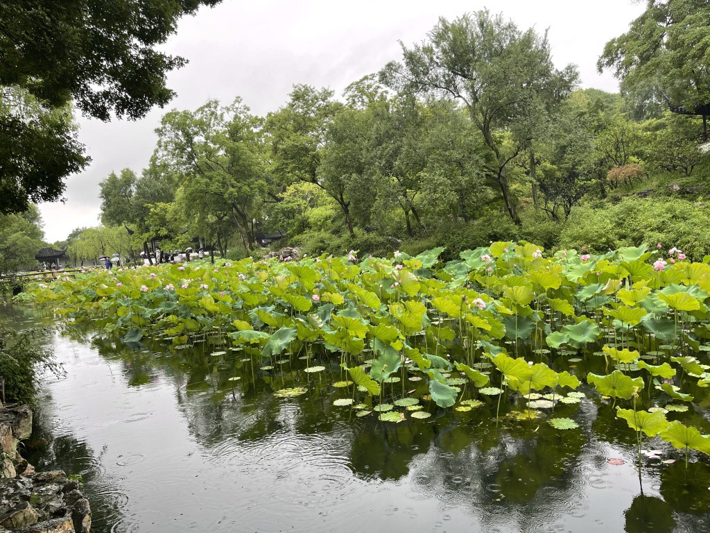 图片[37]-首次南下旅行Day4：苏州-真不错鸭