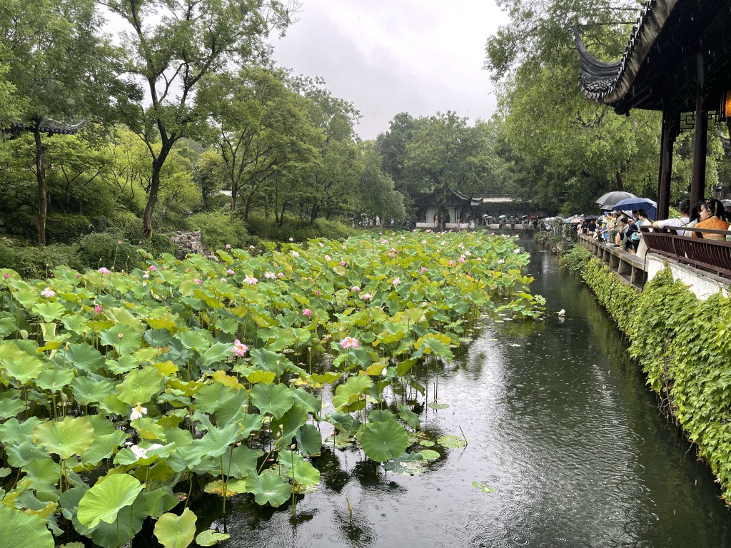 图片[41]-首次南下旅行Day4：苏州-真不错鸭