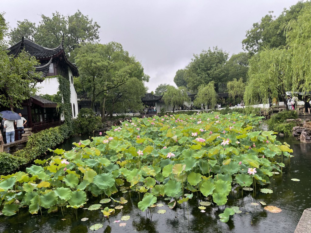 图片[42]-首次南下旅行Day4：苏州-真不错鸭