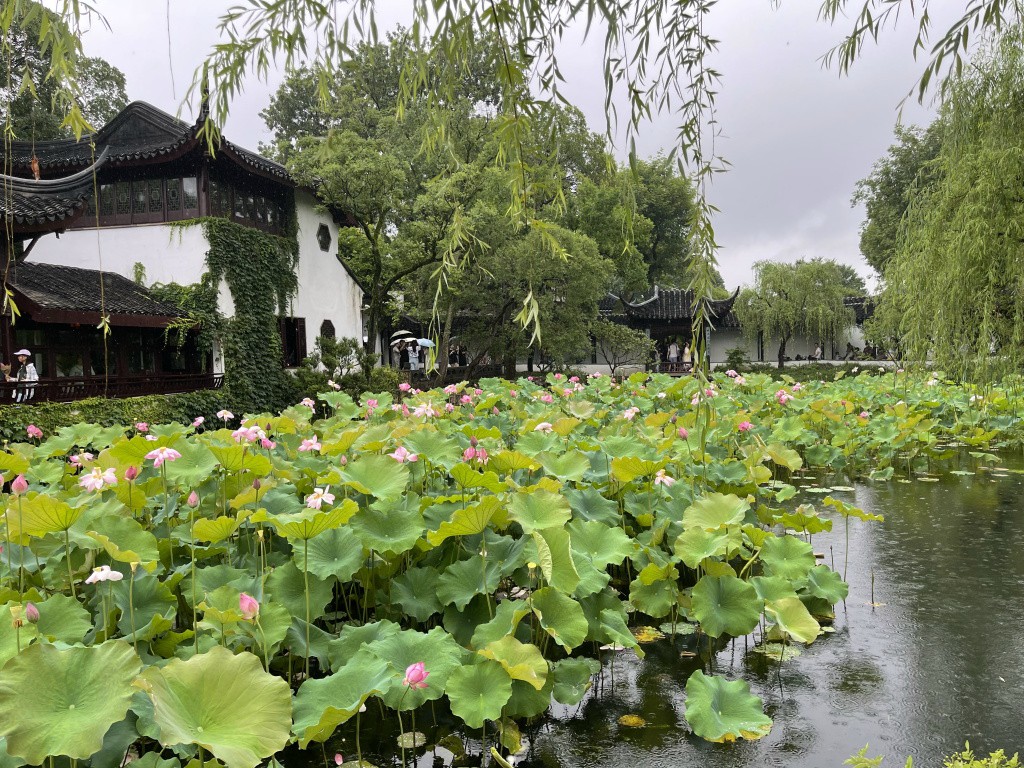 图片[44]-首次南下旅行Day4：苏州-真不错鸭