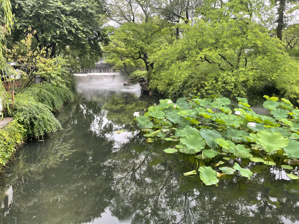 图片[49]-首次南下旅行Day4：苏州-真不错鸭