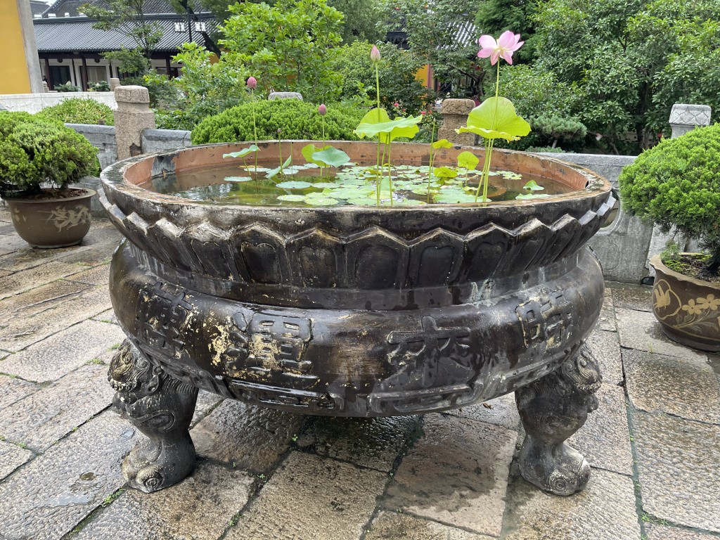 图片[12]-首次南下旅行Day5：苏州终章-真不错鸭