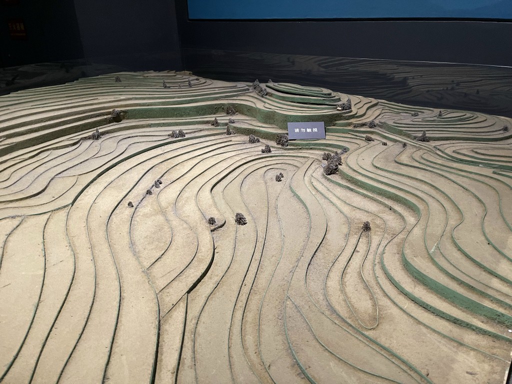 图片[22]-首次南下旅行Day6：长沙-真不错鸭