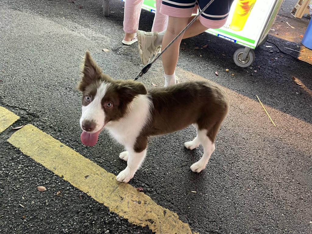 图片[66]-首次南下旅行Day6：长沙-真不错鸭