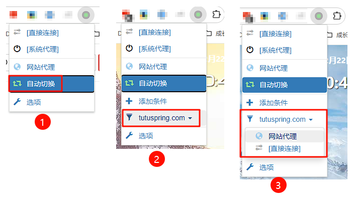 图片[6]-Windows平台 Clash扩展设置-真不错鸭